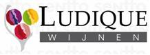Ludique logo